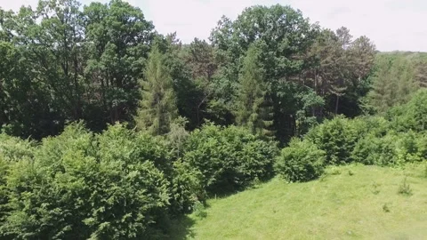 Glade and forest shot with quadrocopter. Stock Footage 85725614