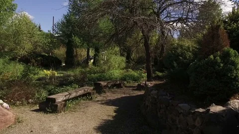 Glade with a bench and trees, move the camera forward 库存影片 80314128