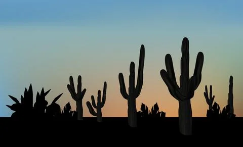 Glade with cactuses at sunset Stock Illustration