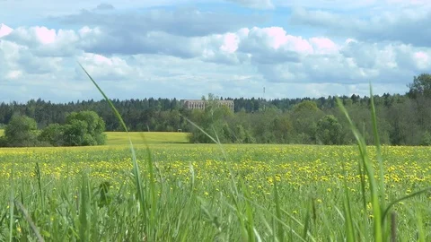 Glade of dandelions with clouds and building Stock Footage 79969153