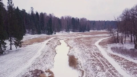 Glade in the forest and a river Stock Footage 101221341