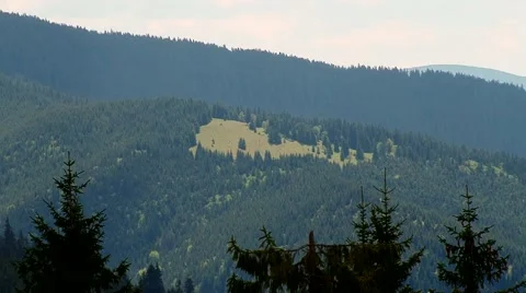 Glade in the forest on the mountain Stock Footage 69009064