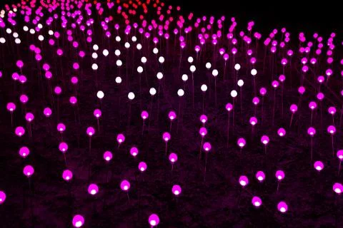 Glade with the multi-colored shining spheres Stock Photos