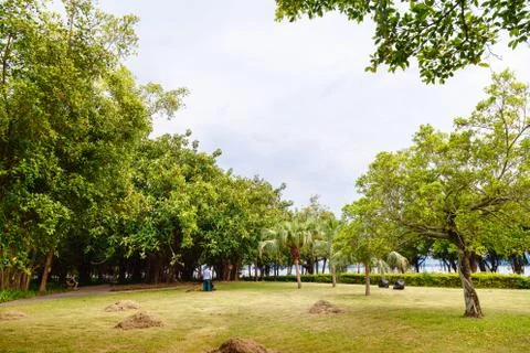 Glade in the park with mowed grass Stock Photos