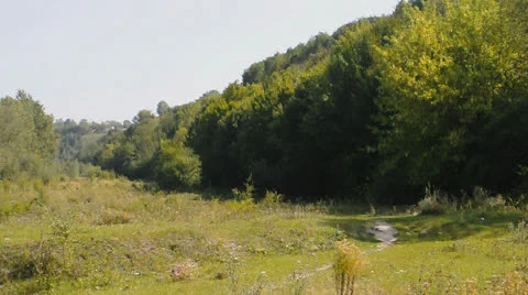 Glade with path and trees and bushes on the hill Stock Footage 22748625