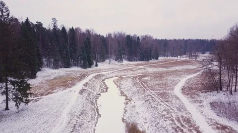Glade with a river in the middle of the forest Stock Footage 101221357