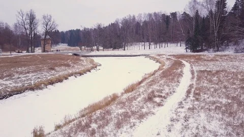 Glade with a river in the middle of the forest Stock Footage 101221363