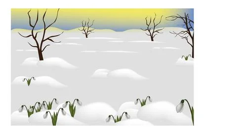 Glade with snowdrops Stock Illustration