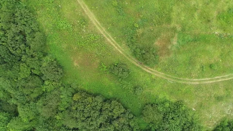 Glade in the summer forest, with a hiking trail Stock Footage 153445768