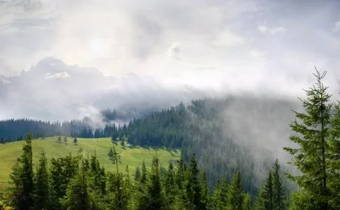 Glade surrounded by forest partly in clouds in Carpathian Mountains Stock Photos