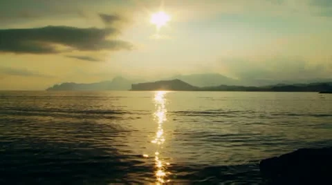 Glade on the water Stock Footage 11547800