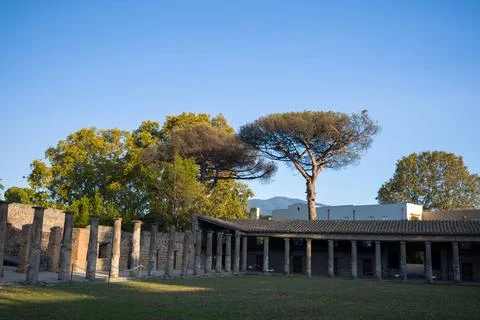 Gladiator barracks colonnade with pine trees, Pompeii Stock Photos