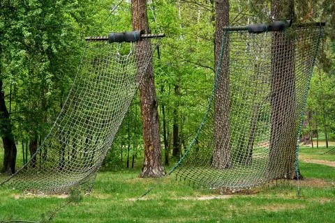 Gladiator rope net for climbing tree in forest park Stock Photos