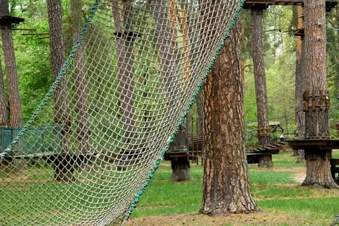 Gladiator rope net for climbing tree in forest park Stock Photos