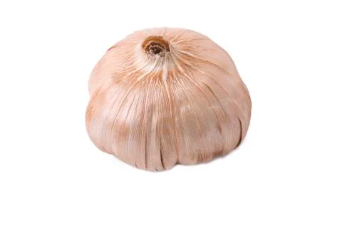 Gladiola bulb Stock Photos