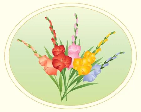 Gladioli Illustrazione stock