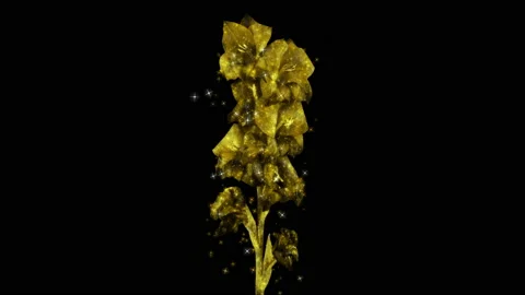 Gladiolus RGB Alpha Stock Footage 234124265
