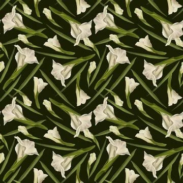 Gladiolus seamless pattern Hand drawn watercolor digital illustration of white Stock Illustration