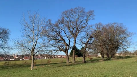 Gladstone - 20 Stock Footage 155197528