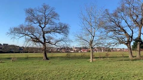 Gladstone - 21 库存影片 155197607