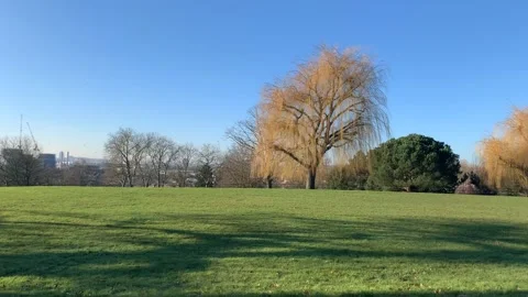 Gladstone - 34 库存影片 155197861