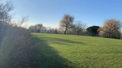 Gladstone - 39 Stock Footage 155197993