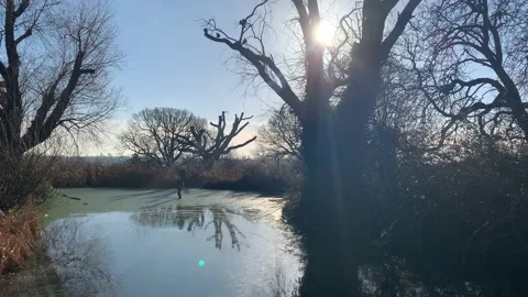 Gladstone - 46 库存影片 155198120