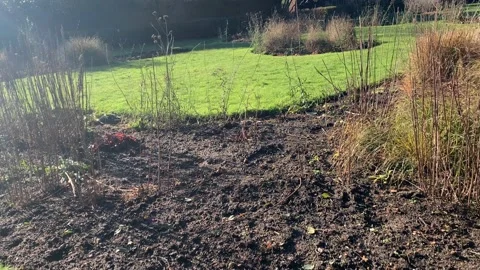 Gladstone - 49 Stock Footage 155198138