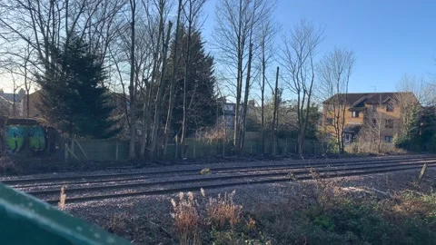 Gladstone - 5 库存影片 155198158