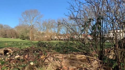 Gladstone - 54 Stock Footage 155198211