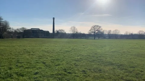 Gladstone - 58 库存影片 155198310