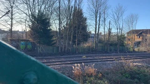 Gladstone - 6 库存影片 155198353