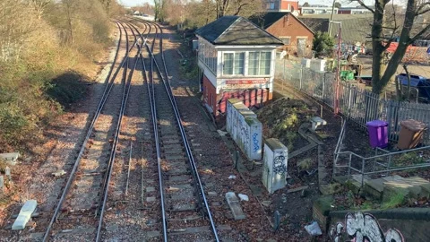 Gladstone - 60 库存影片 155198384