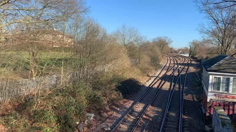 Gladstone - 62 库存影片 155198459