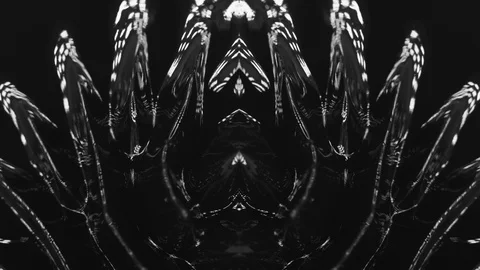 Glamorous black liquid background Stock-Footage 91959548