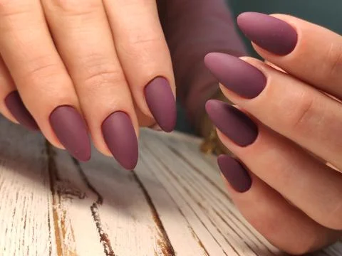 Glamorous luxurious crocodile manicure. Design glamorous nails Stock Photos
