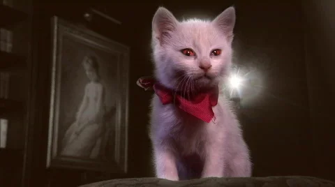 Glamour kitty (var. 2) Stock-Footage 435616