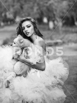 Glamour woman with dog Stock Photos