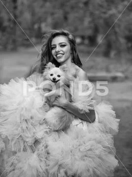 Glamour woman with dog Stock Photos