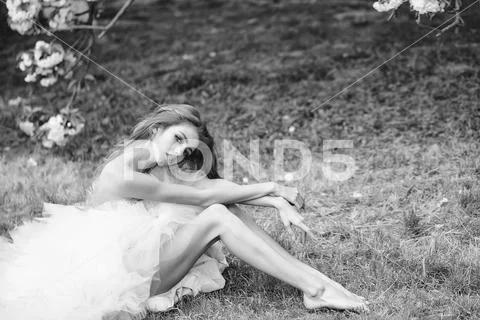 Glamour woman on green grass Stock Photos