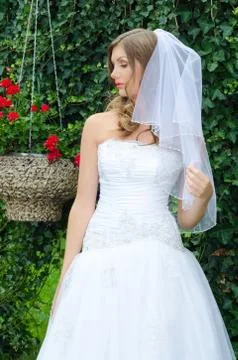 Glamourous bride Stock Photos