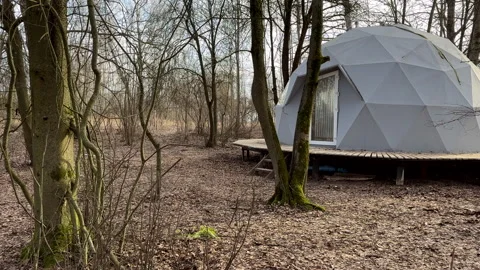 Glamping Domes in campsite in forest. Geodesic Dome House. Video stock 268749314