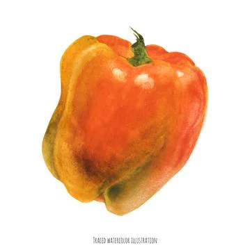 Glance Orange Bell Pepper Stock Illustration