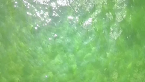 Glare on the clear water Video stock 313506494