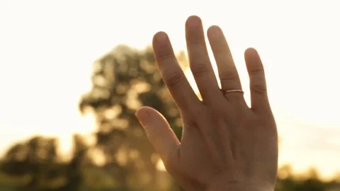 Glare of the evening sun through fingers Vídeo Stock 77598703