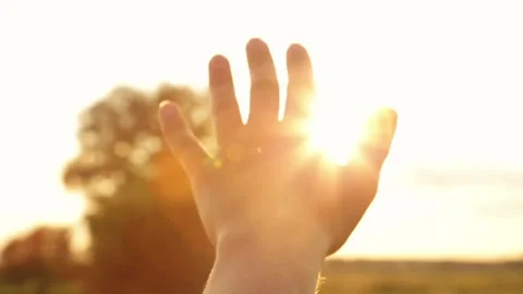 Glare of the evening sun through fingers 库存影片 142629774