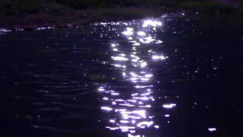 Glare of light reflected in the river Stock Footage 112992335