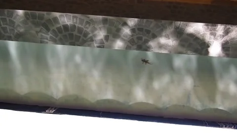 Glare from the reflection of water on the ceiling. Stock Footage 136035995