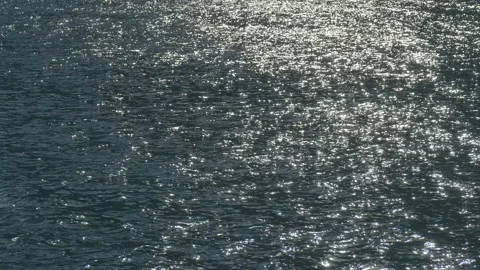 Glare on sea water surface Stock Footage 169477929