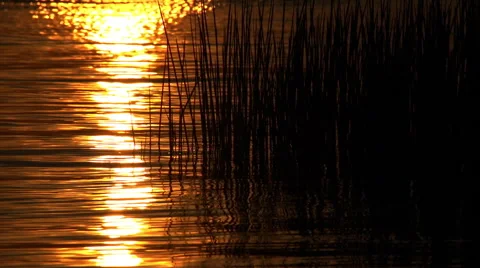 The glare of the setting sun reflected in the water. 스톡 동영상 54907986